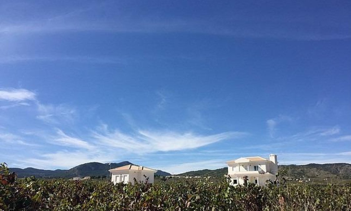 New Build - villa -
Pinoso - Camino Del Prado