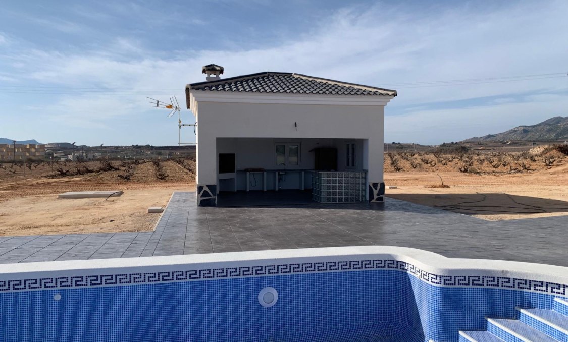 New Build - villa -
Pinoso - Camino Del Prado