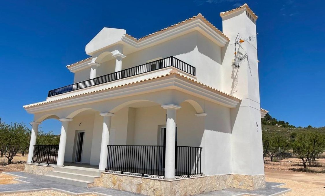 New Build - villa -
Pinoso - Camino Del Prado