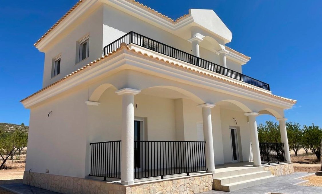 New Build - villa -
Pinoso - Camino Del Prado