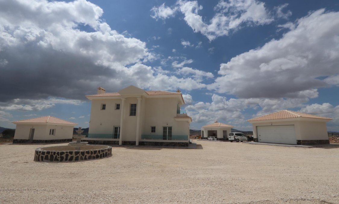 New Build - villa -
Pinoso - Camino Del Prado