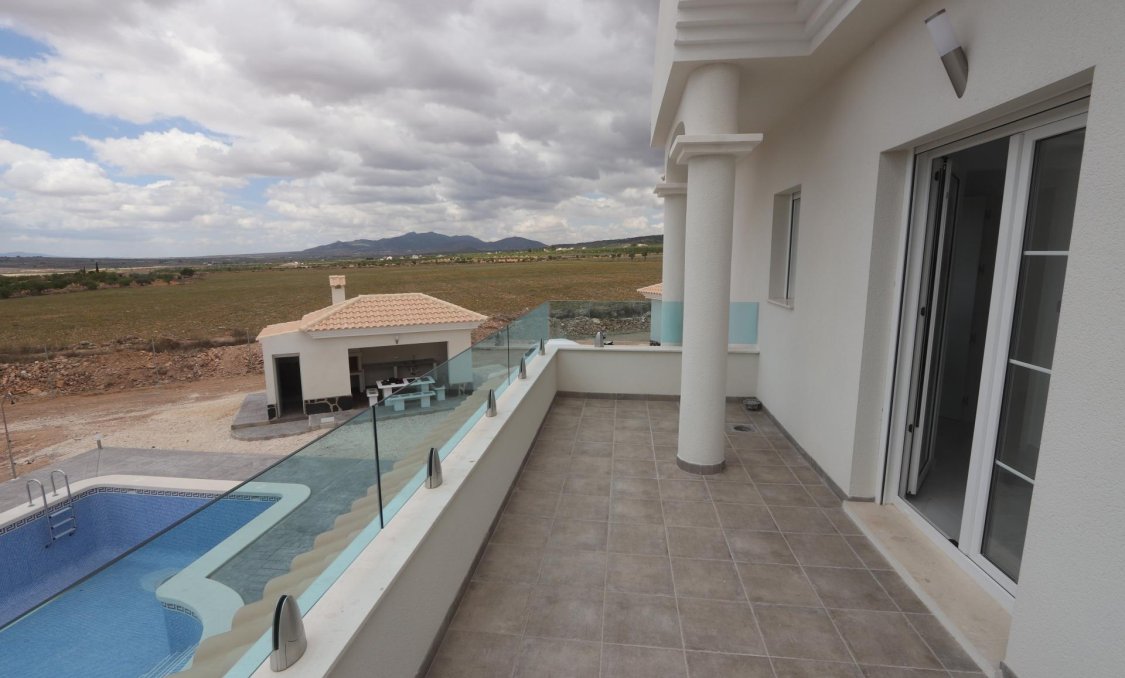 New Build - villa -
Pinoso - Camino Del Prado