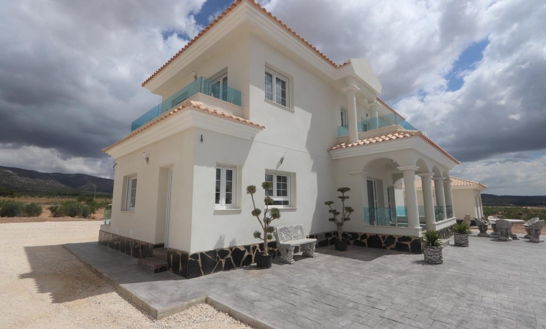 New Build - villa -
Pinoso - Camino Del Prado