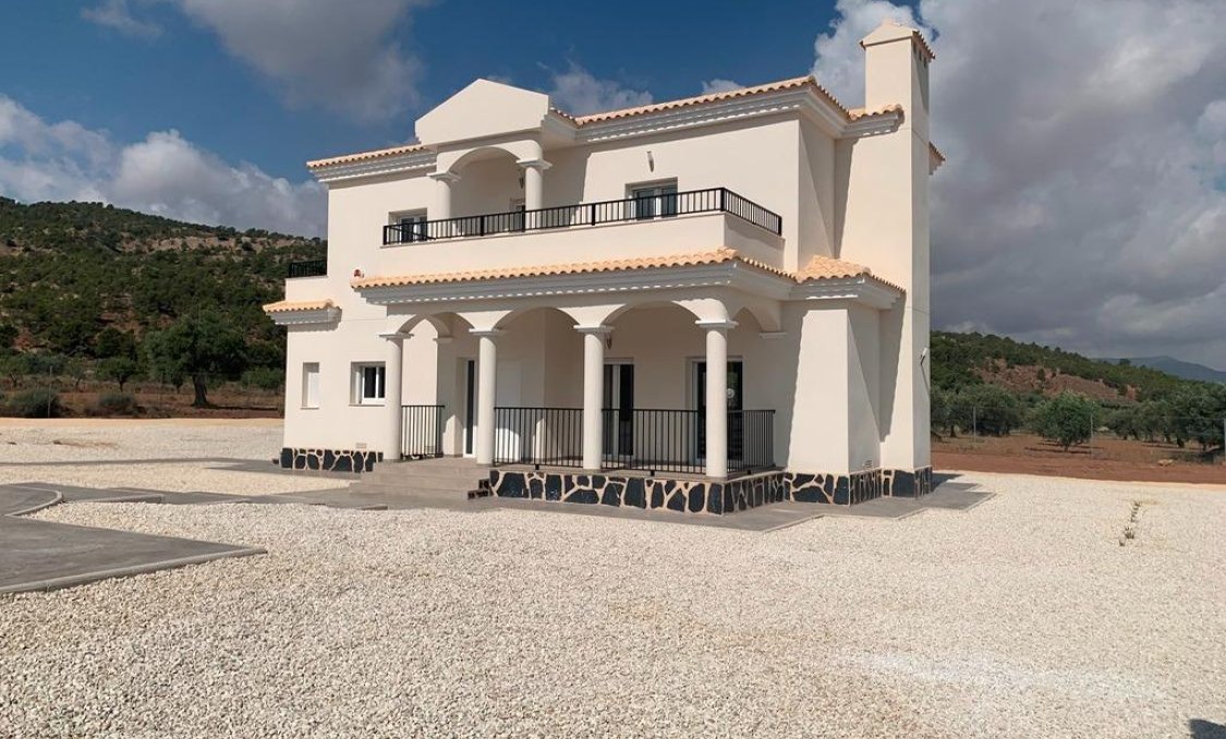 New Build - villa -
Pinoso - Camino Del Prado