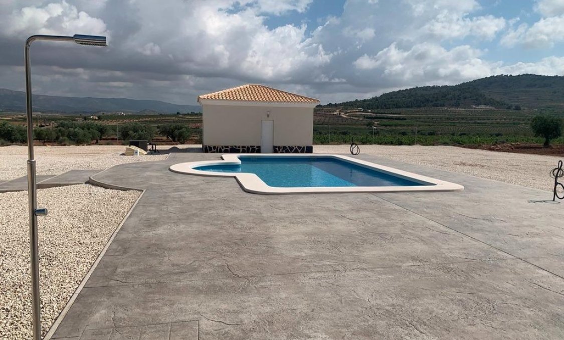 New Build - villa -
Pinoso - Camino Del Prado