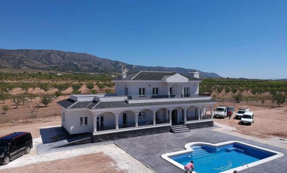 New Build - villa -
Pinoso - Camino Del Prado
