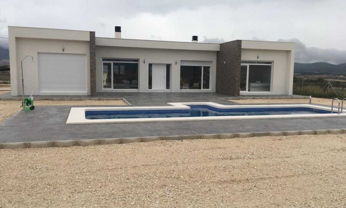 New Build - villa -
Pinoso - Camino Del Prado