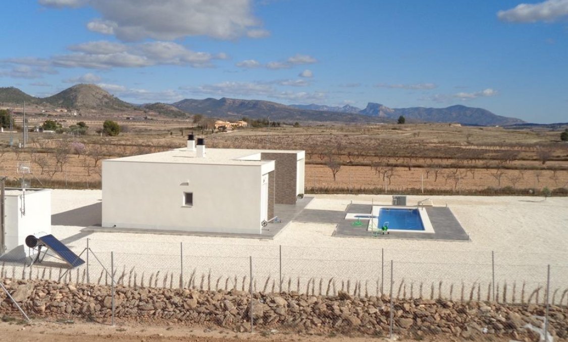 New Build - villa -
Pinoso - Camino Del Prado