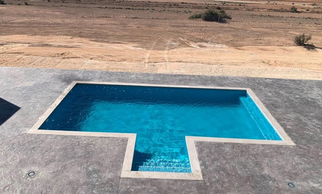 New Build - villa -
Pinoso - Camino Del Prado