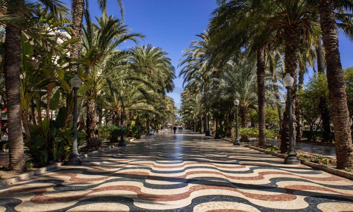 Nowy budynek - apartment -
Alicante - Centro