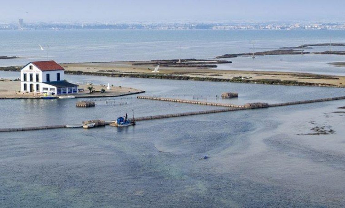 New Build - apartment -
San Pedro del Pinatar - Pueblo