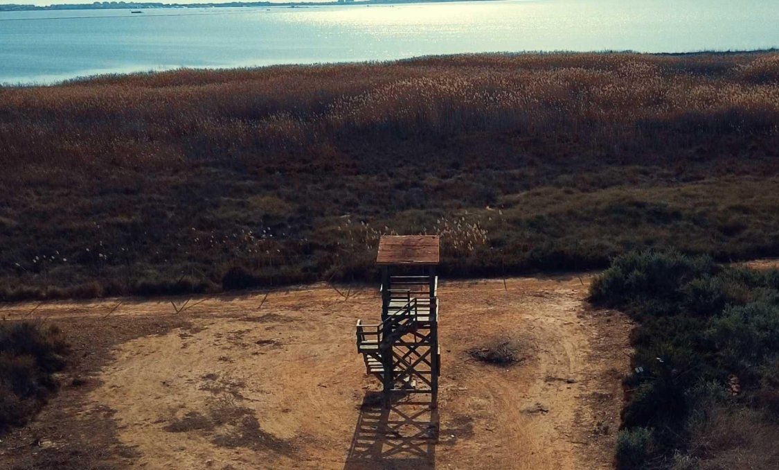 Nowy budynek - villa -
Los Montesinos - La Herrada