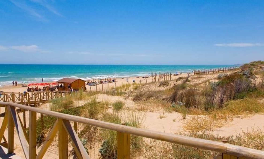 New Build - villa -
Benijofar - Pueblo