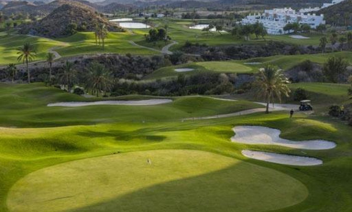 New Build - apartment -
Pulpi - Aguilón Golf