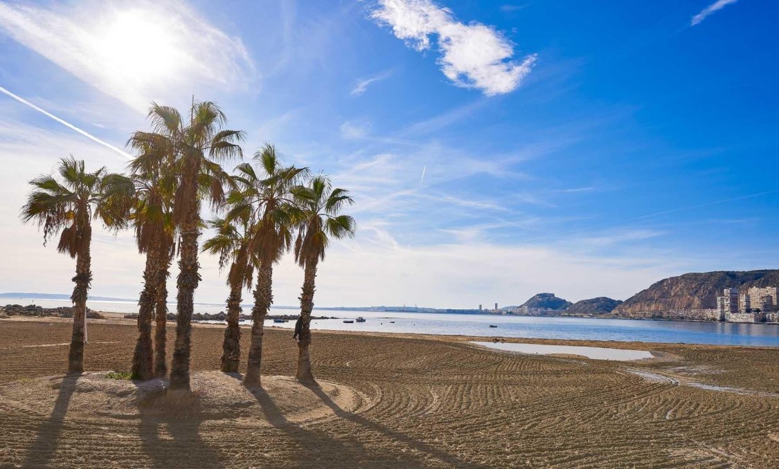 Nowy budynek - villa -
Els Poblets - Partida Barranquets