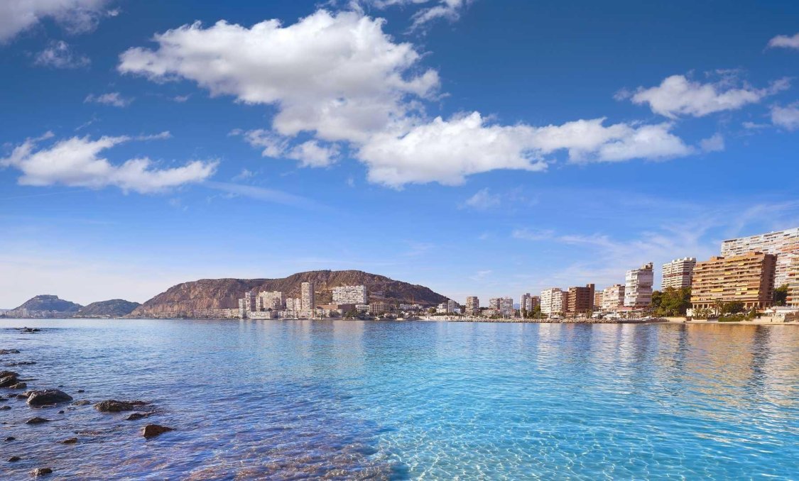 Nowy budynek - villa -
Els Poblets - Partida Barranquets