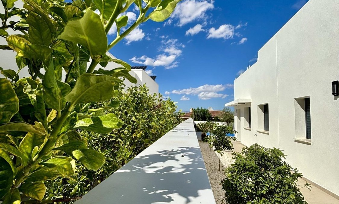 New Build - villa -
Benijofar - Pueblo