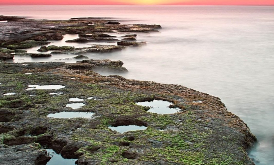 Nowy budynek - Bungalow -
Torrevieja - Altos del Sol