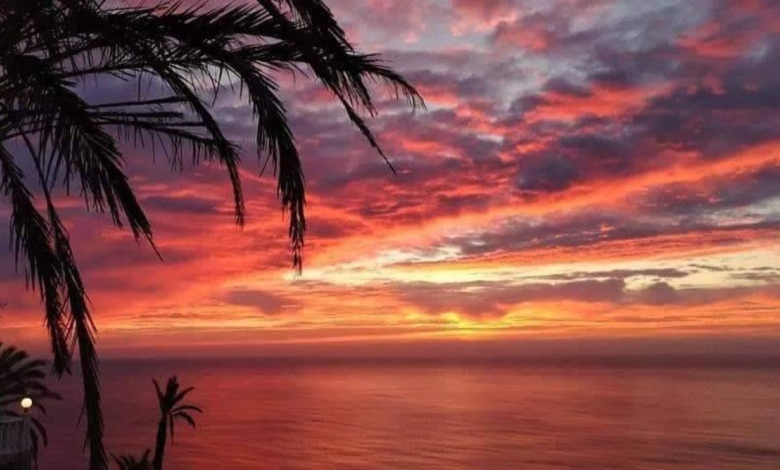 Nowy budynek - Bungalow -
Torrevieja - Altos del Sol