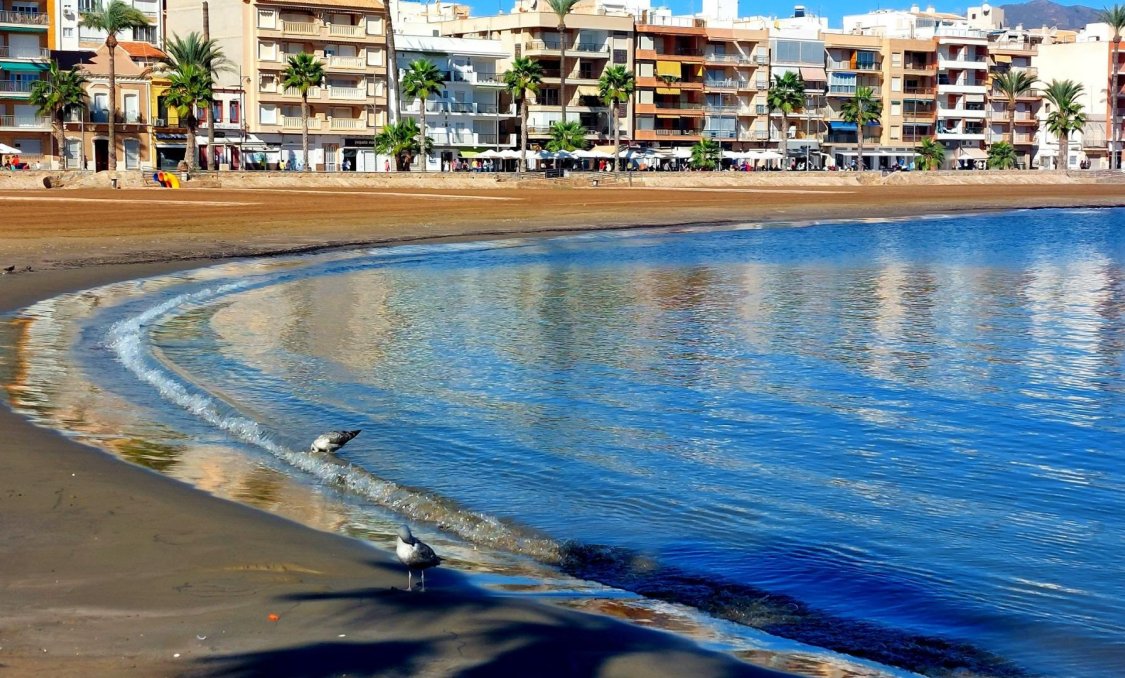 New Build - town house -
Fuente Álamo - La Pinilla