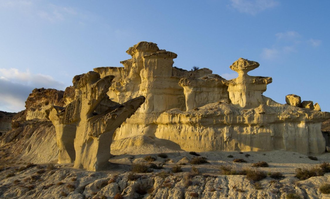 New Build - villa -
Fuente Álamo - La Pinilla