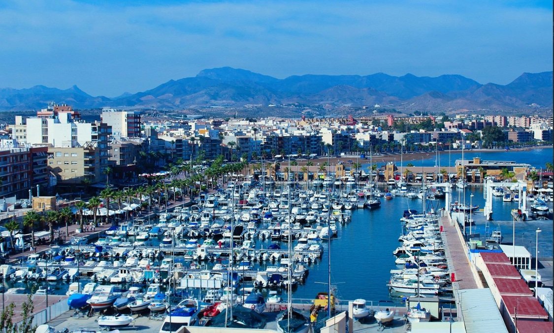 New Build - villa -
Fuente Álamo - La Pinilla