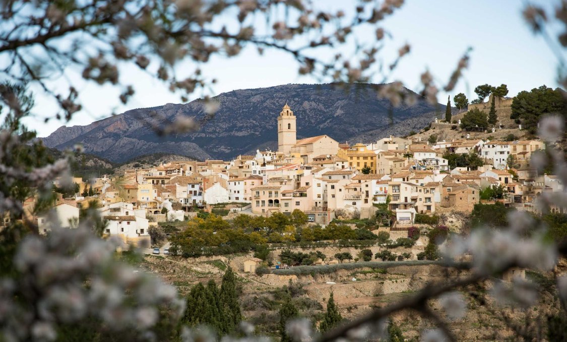 New Build - villa -
Polop - Polop Hills