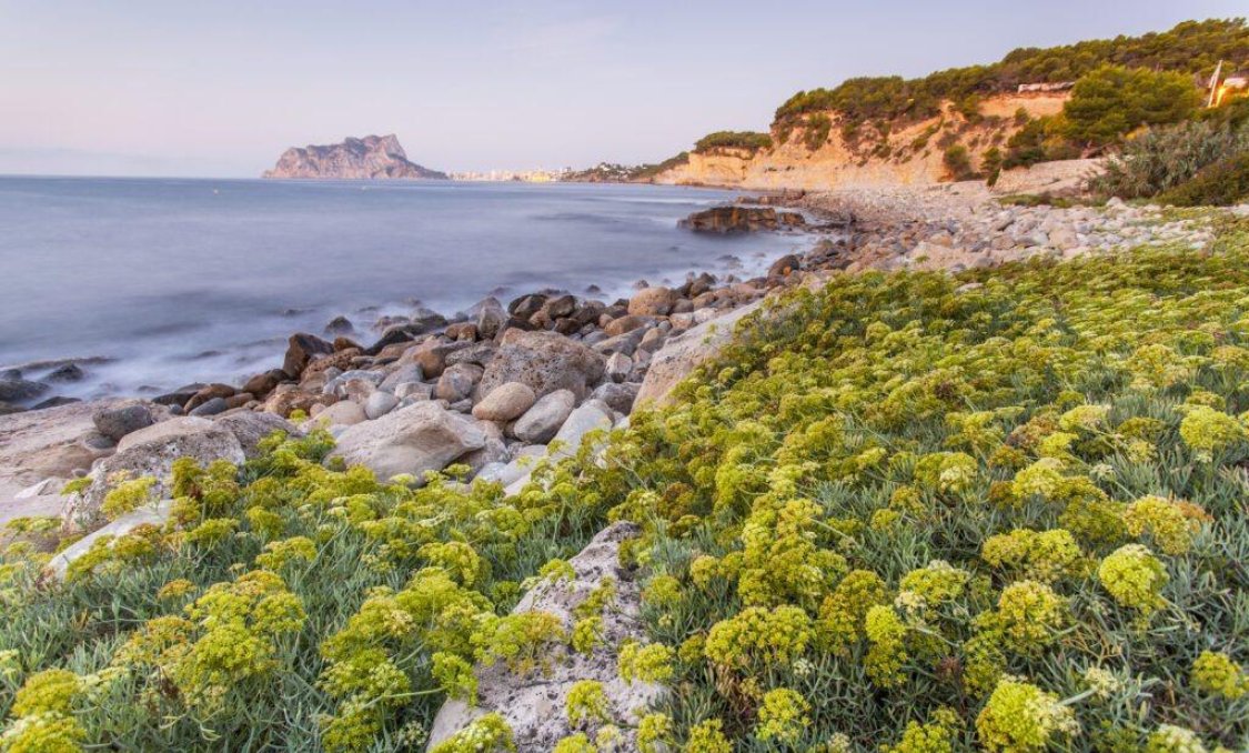 New Build - villa -
Benissa - Racó Del Galeno