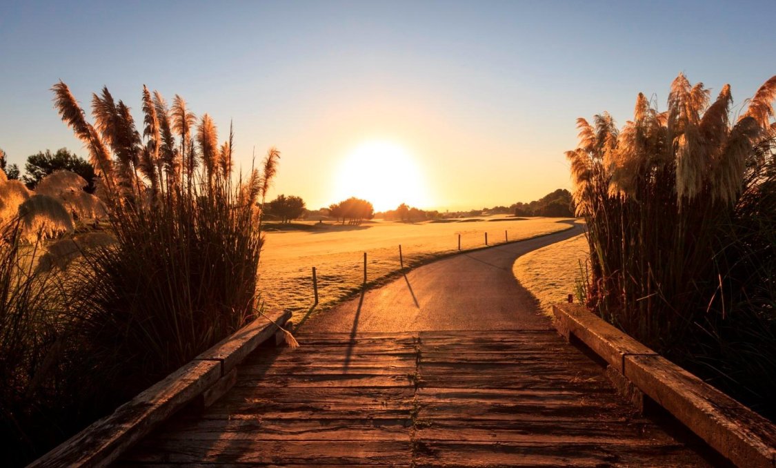 New Build - villa -
Pilar de la Horadada - Lo Romero Golf