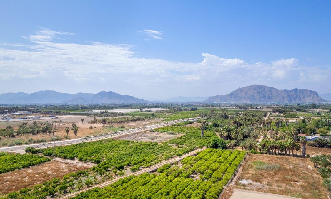 New Build - Penthouse -
Jacarilla - pueblo