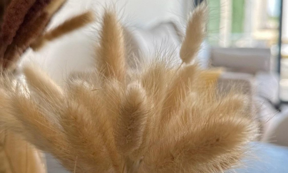 New Build - Bungalow -
San Fulgencio - Pueblo