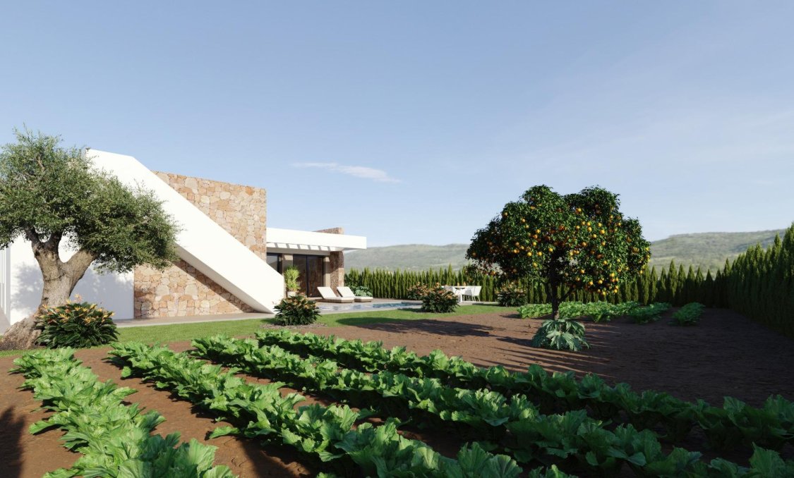 New Build - villa -
Fuente Álamo - Hacienda del Alamo