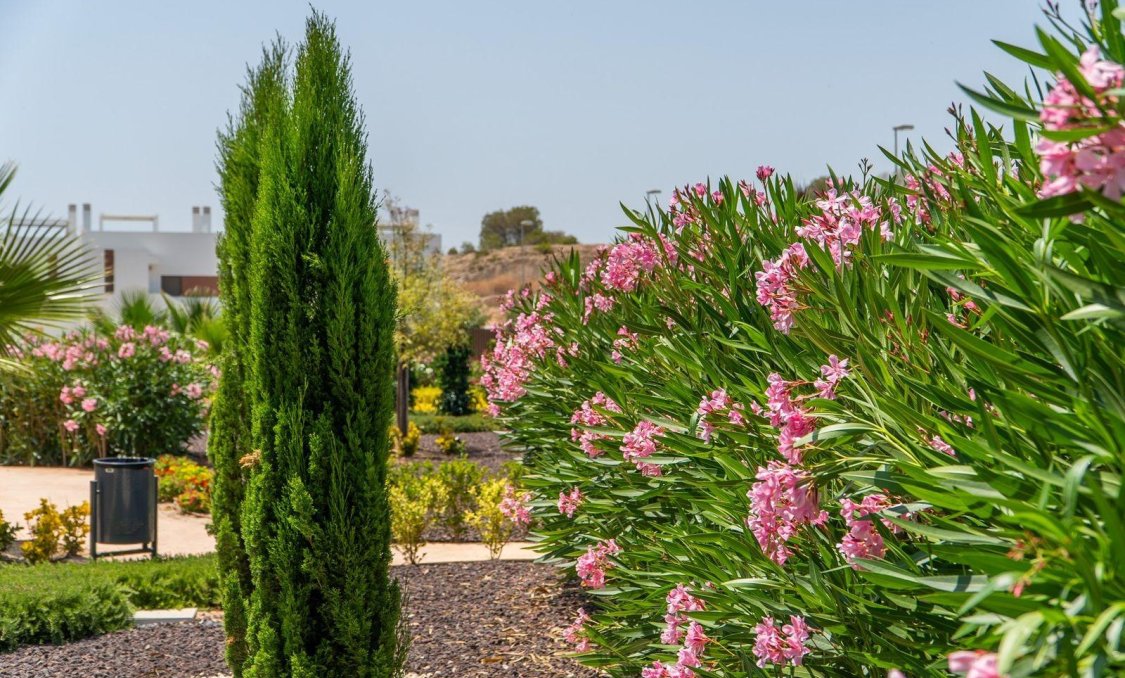 New Build - Top Floor Bungalow -
Orihuela - Vistabella Golf