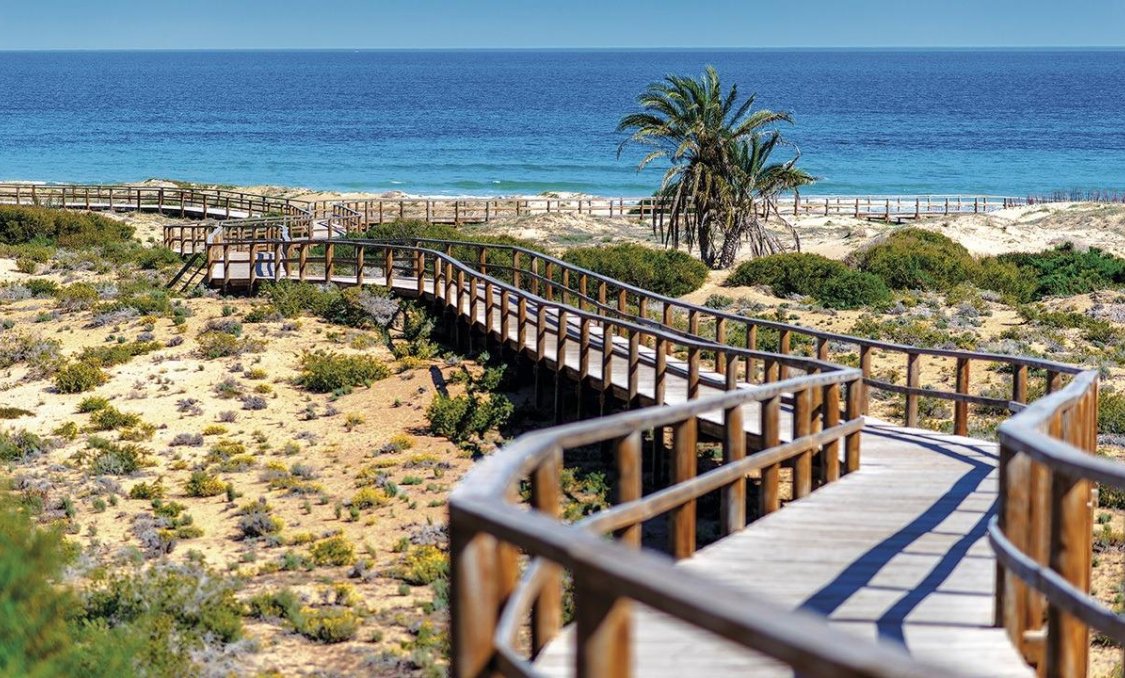 New Build - apartment -
Monforte del Cid - Alenda Golf