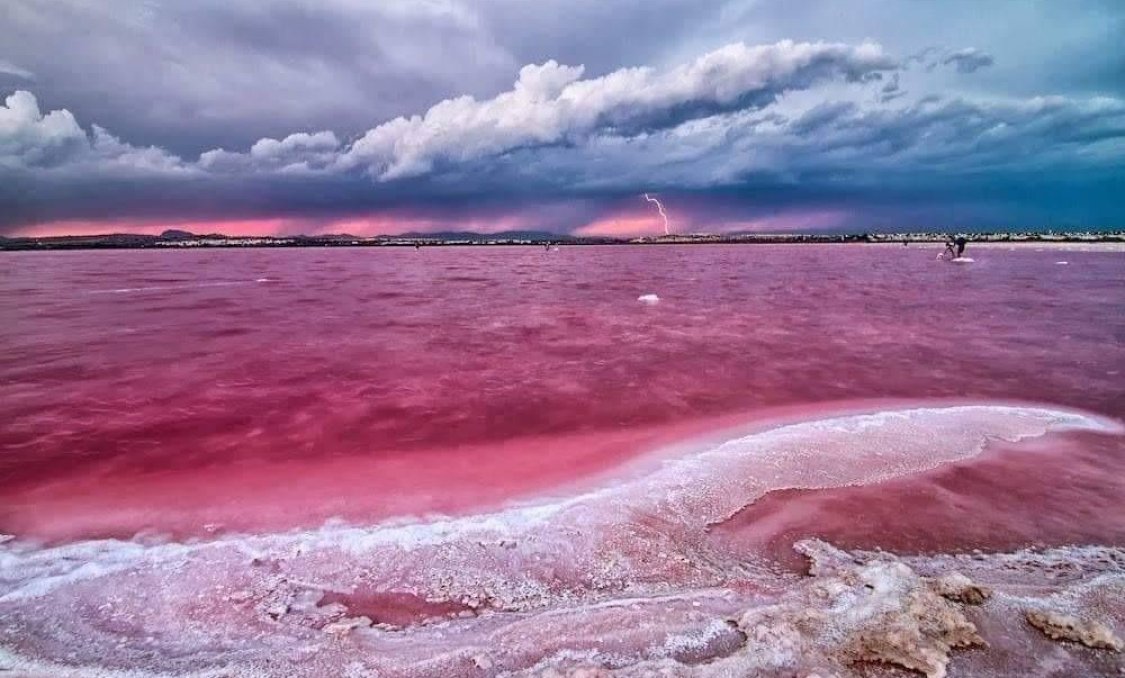 New Build - Penthouse -
Torrevieja - Centro