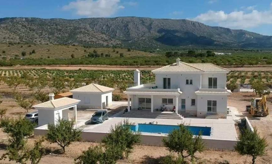 New Build - villa -
Pinoso - Camino Del Prado