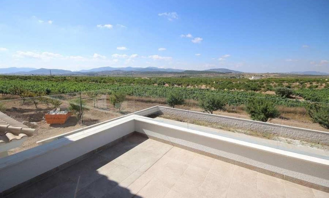 New Build - villa -
Pinoso - Camino Del Prado