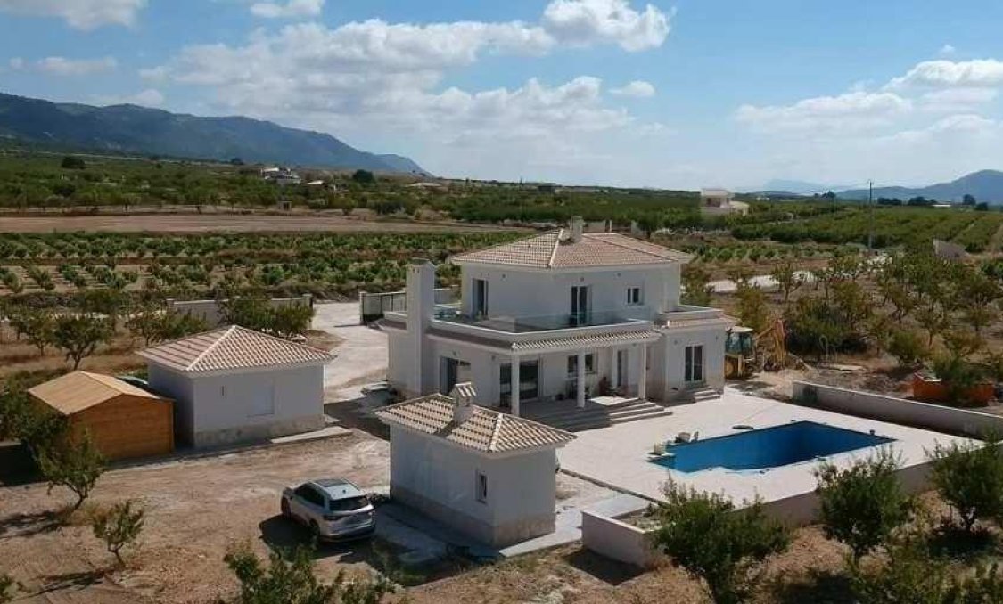 New Build - villa -
Pinoso - Camino Del Prado