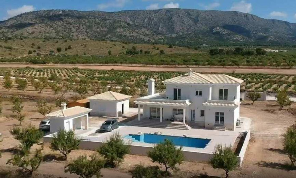 New Build - villa -
Pinoso - Camino Del Prado