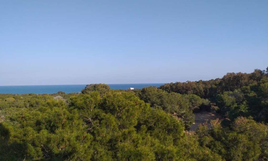 New Build - Ground floor apartment -
Guardamar del Segura - Pueblo