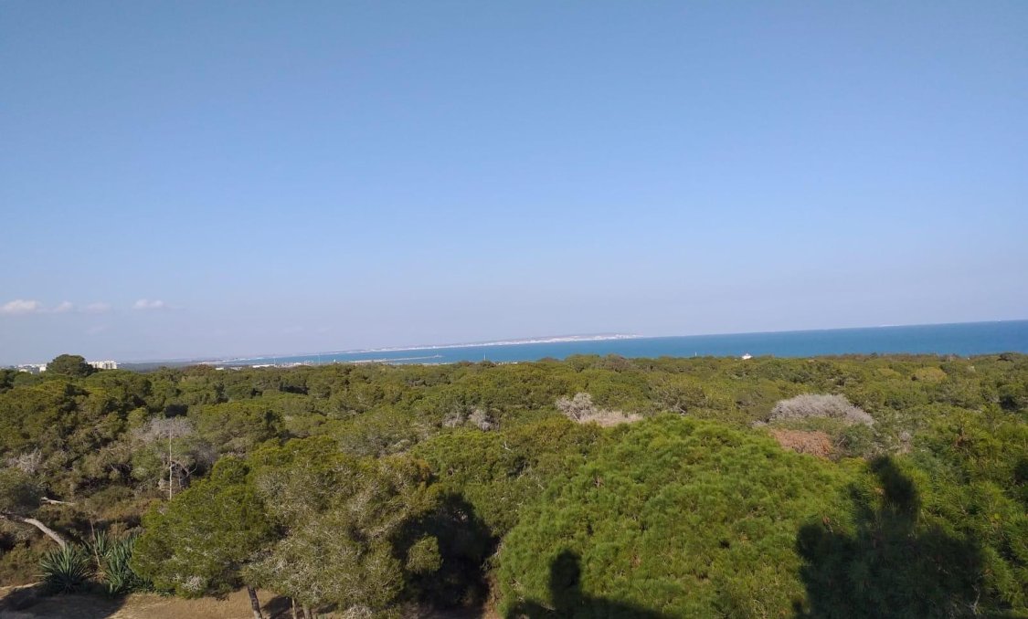 New Build - apartment -
Guardamar del Segura - Pueblo