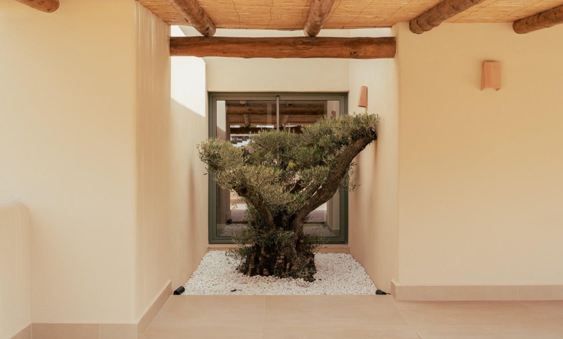 New Build - villa -
Jávea Xàbia - Valle del Sol