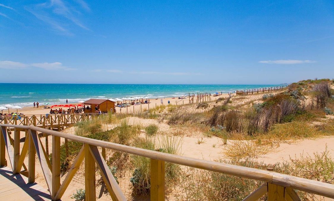 New Build - apartment -
Guardamar del Segura - Pueblo