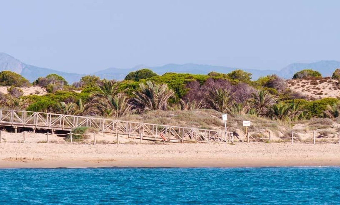 New Build - apartment -
Guardamar del Segura - Pueblo