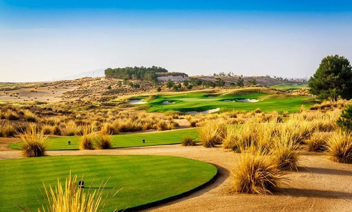 New Build - villa -
Alhama De Murcia - Condado De Alhama