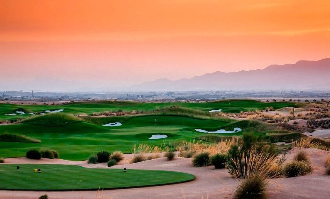 New Build - villa -
Alhama De Murcia - Condado De Alhama