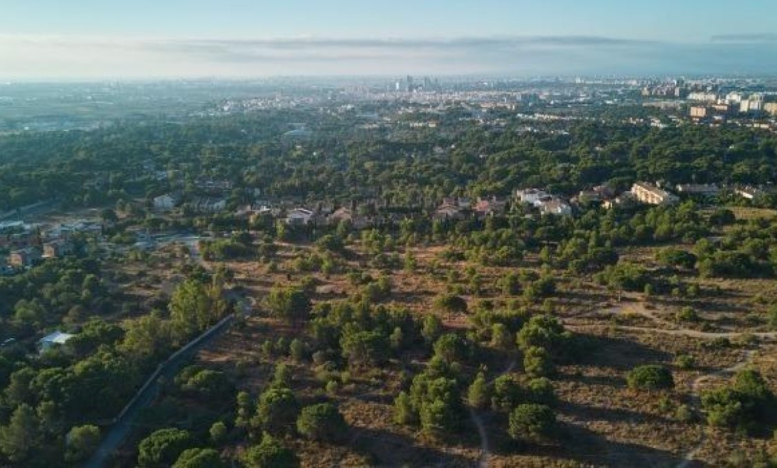 New Build - Ground floor apartment -
Godella - Campolivar