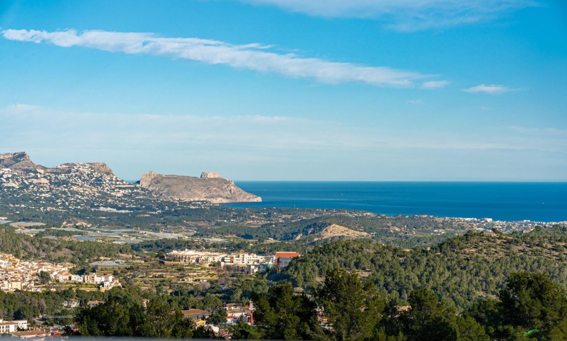 New Build - villa -
Polop - Polop Hills