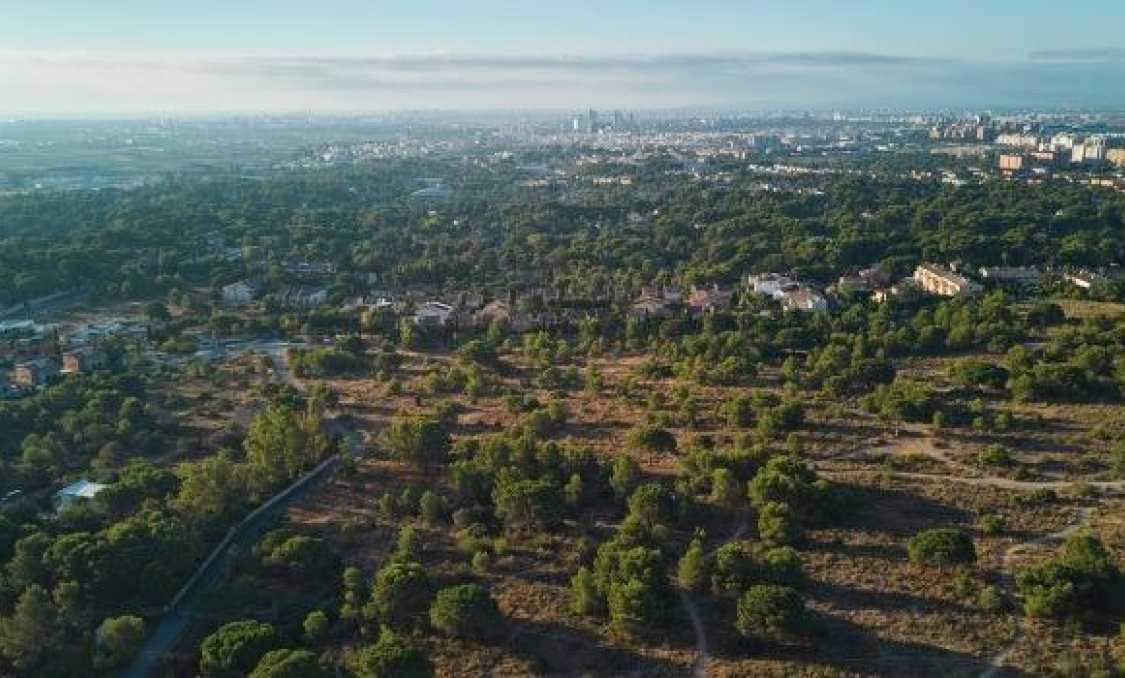 New Build - villa -
Godella - Campolivar