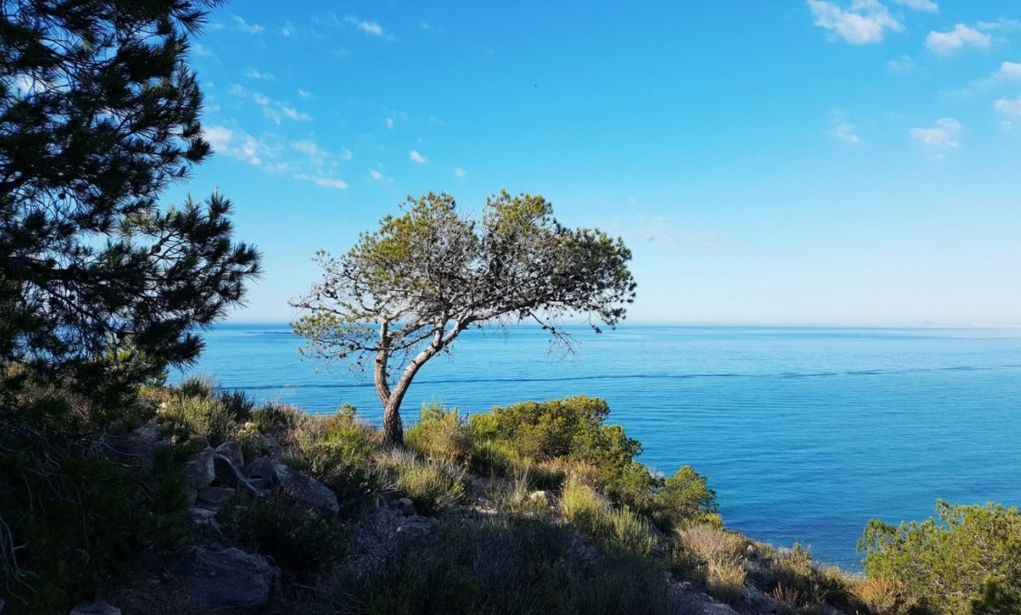 New Build - apartment -
Villajoyosa - Playa Les Torres